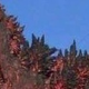 Illustration for article titled Leaked Pics of the 2016 Godzilla (link)